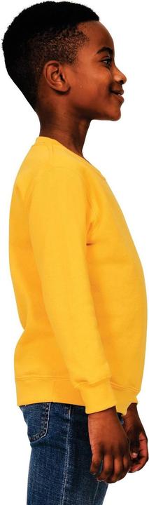 Actual product image Casual Classics Childrens/Kids Blended Ringspun Cotton Sweatshirt (116)