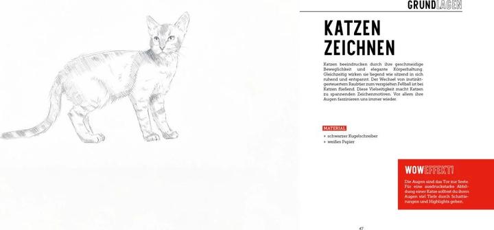 Produktbild Tiere zeichnen (2 Bücher im Bundle)