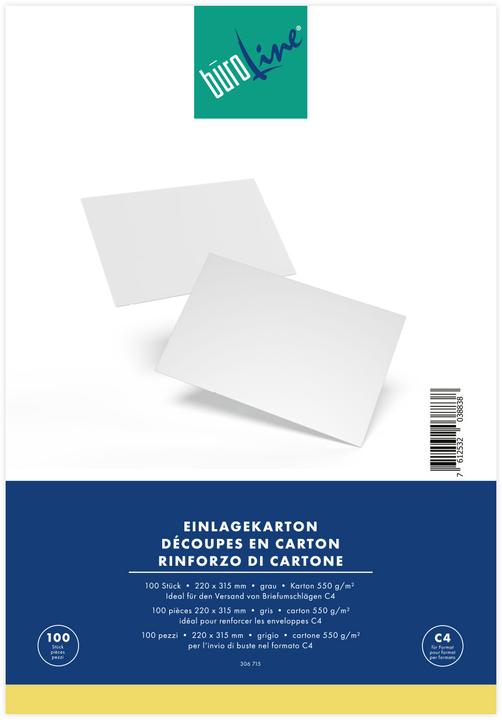 Image du produit BüroLine Insérer des cases (100 pièce(s))