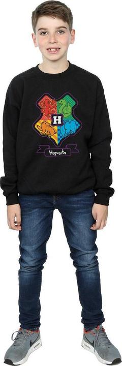 Produktbild Hogwarts Junior Crest Sweatshirt Jungen (152, 158)