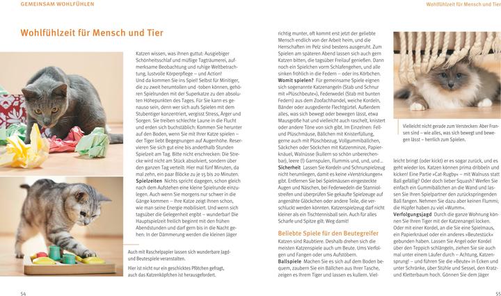 Image du produit Katzen (Allemand, Brigitte Eilert-Overbeck, 2016)
