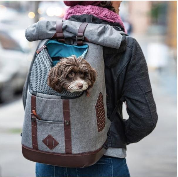Actual product image Kurgo K9 Backpack (Dog, Cat, Machine washable, Breathable)