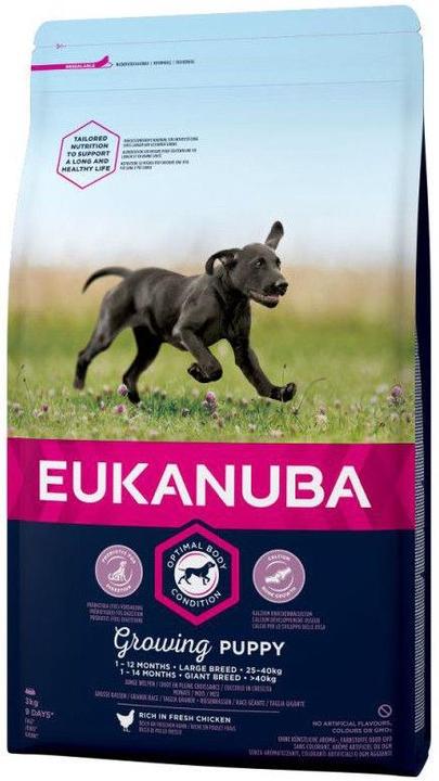 Actual product image Eukanuba Puppy & Junior Large Breed Chicken (Junior, 1 pcs., 15000 g)