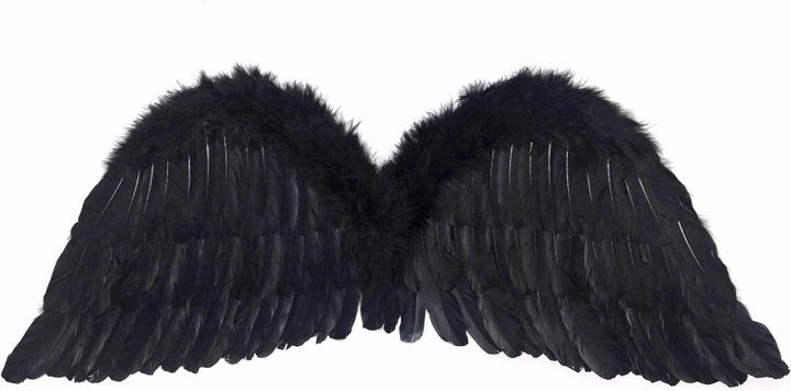 Image du produit Partydeco Ailes d'ange noires