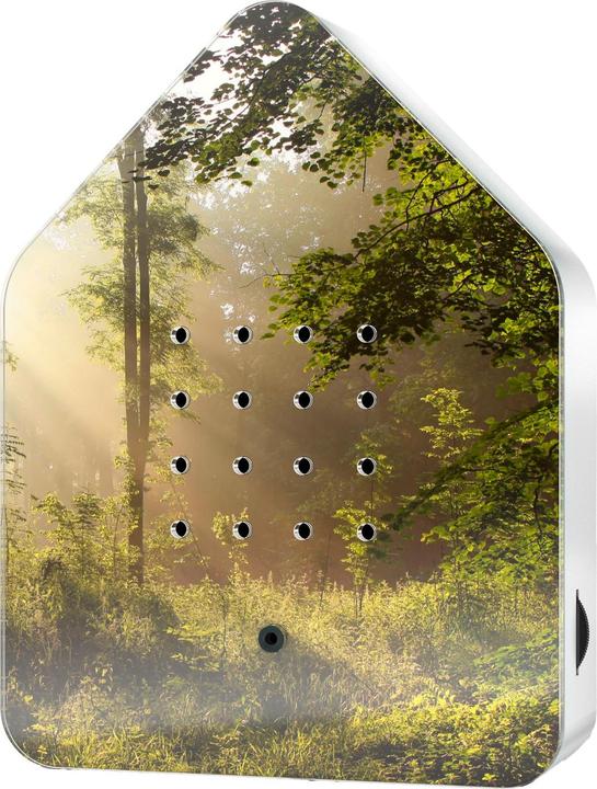Immagine prodotto Relaxound Zwitscherbox (11 x 3 x 14,5 cm)