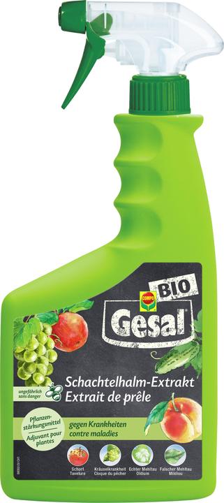 Produktbild Gesal Schachtelhalm-Extrakt (Pilze)
