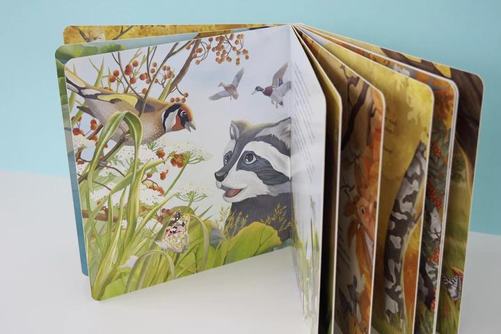 Produktbild Kopf hoch, kleiner Waschbär – ein Bilderbuch für Kinder ab 2 Jahren (Deutsch, Lea Kässmann, 2021)