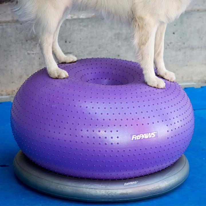 Actual product image FitPaws Donut Holder (Agility)