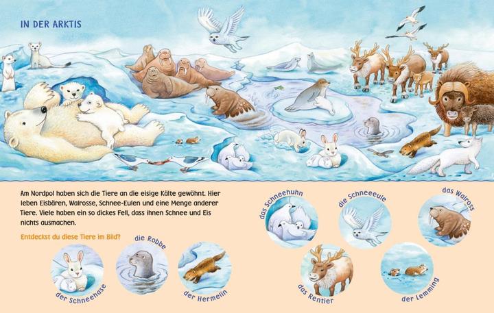 Image du produit Livre d'images Baby Pixi HB23 (Allemand)