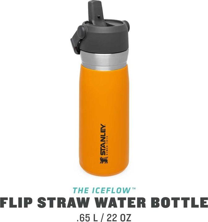 Immagine prodotto Stanley 1913 IceFlow (0.65 l)