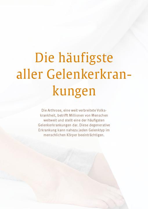Produktbild Expertenwissen: Arthrose (Deutsch, Prof. Dr. Hanno Steckel, 2024)