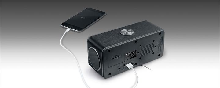 Image du produit Muse M-196 DBT