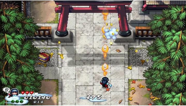 Actual product image ININ Games Pocky & Rocky Reshrined (Switch, DE)