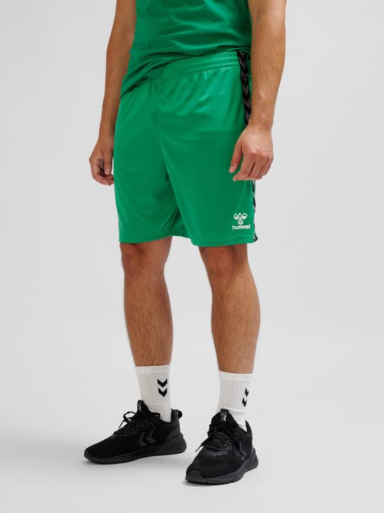 Image du produit hummel Hmlauthentic Pl Shorts (S)