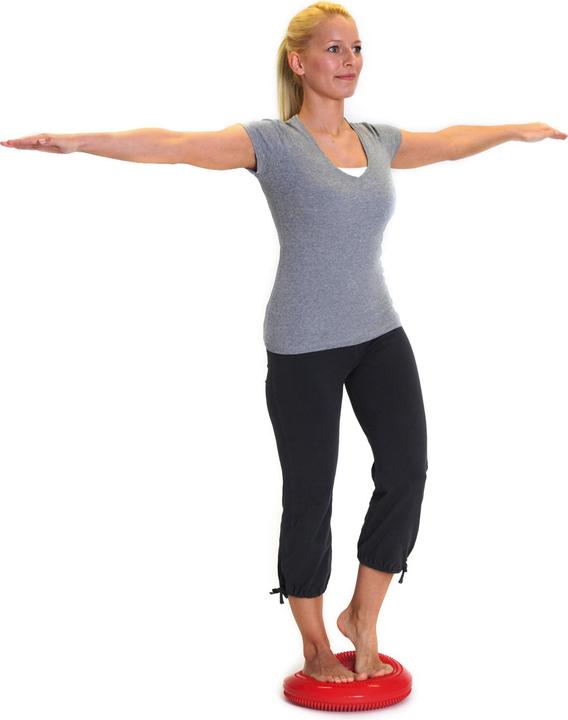 Image du produit Sissel Balancefit