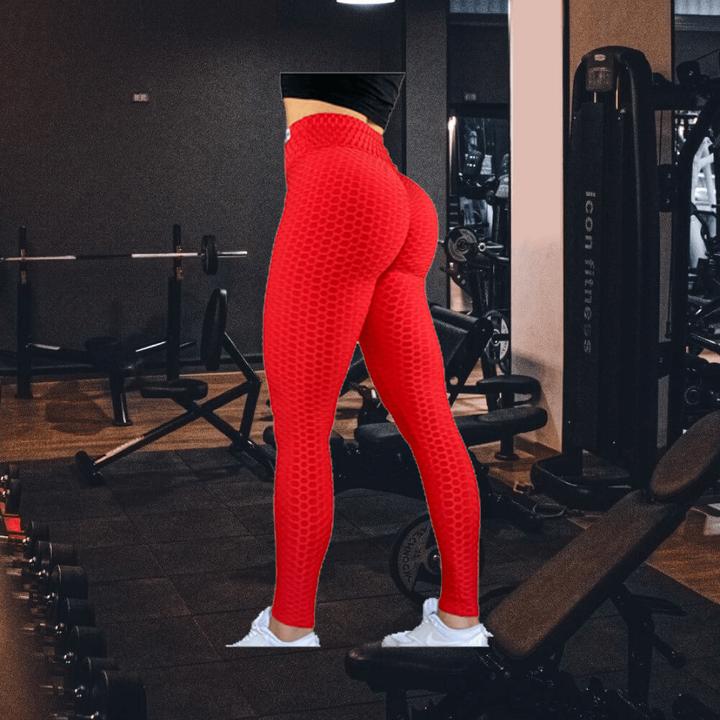 Actual product image Zec+ Nutrition Leggins (M)