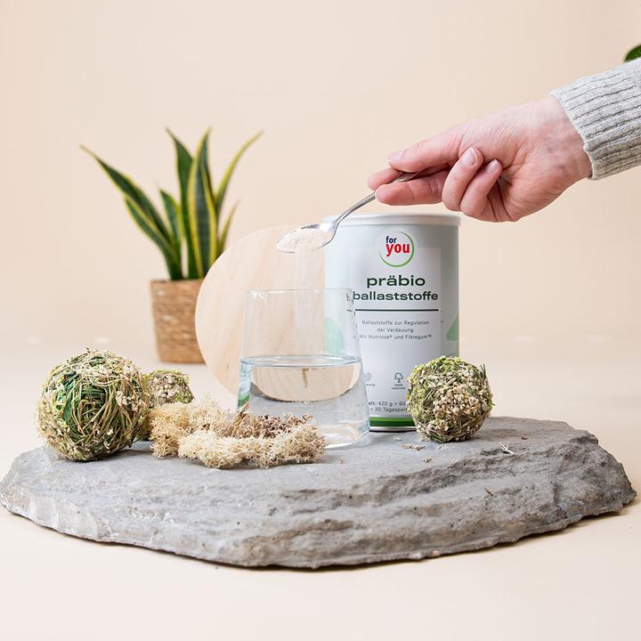 Image du produit For You fibres prébio (1 pièce(s), Poudre, 420 g)