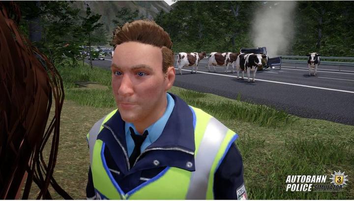 Actual product image Aerosoft Highway Police Simulator 3 (PS4, DE)