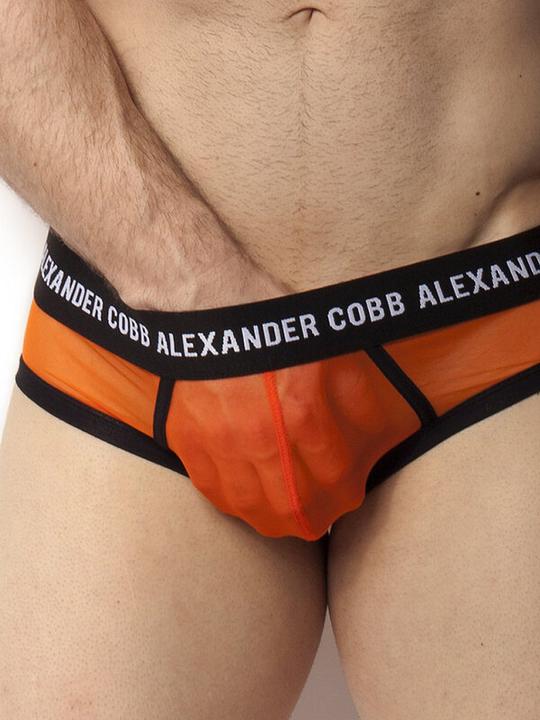 Produktbild Alexander Cobb Transparent Slip (L)