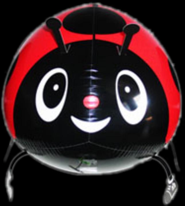 Image du produit Ballon Müller Mini-marcheur Coccinelle 57 cm