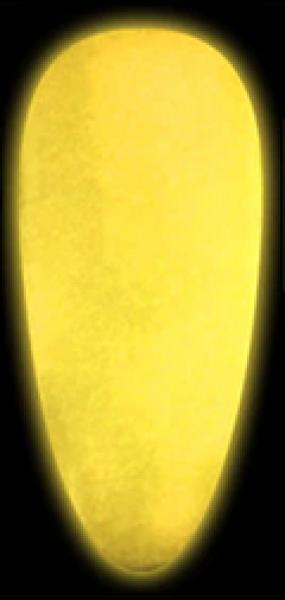 Produktbild Canni Gellack Fluorescence YG02 UV/LED (Orange, UV-Gel Lack)