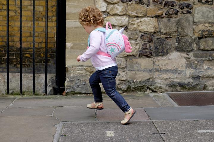 Produktbild Littlelife Toddler Backpack