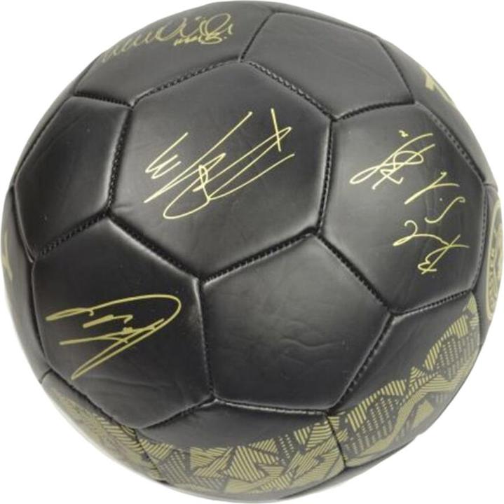 Manchester City FC Phantom Kunstleder Fussball Mit Unterschriften (5)