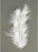 Actual product image Rayher Decorative feather, white, 10 pieces