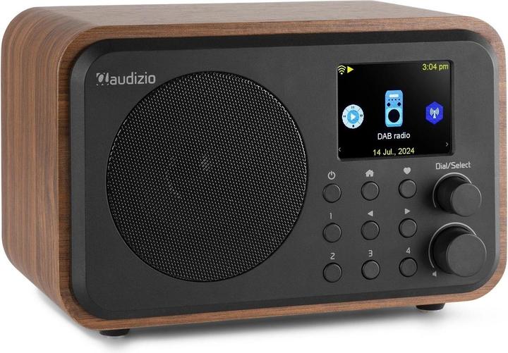 Image du produit Audizio Vicence (Webradio, DAB+ DAB, FM, Bluetooth, WiFi)