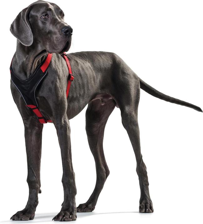 Image du produit Hunter Harnais NéoprèneNylon (XL, Chien, Sport canin)