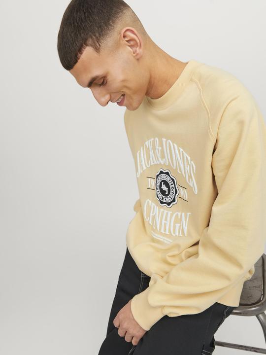 Produktbild Jack & Jones Gedruckt Sweatshirt mit Rundhals Sweatshirt mit Rundhals (XS)