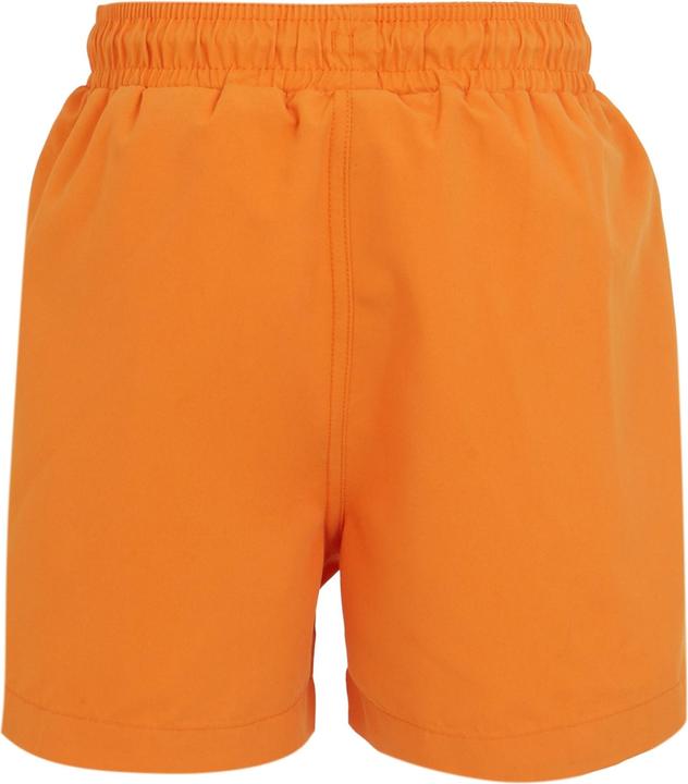Actual product image Regatta Childrens/Kids Skander III Plain Swim Shorts (140)
