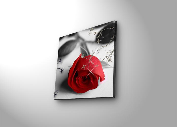 Produktbild Wallxpert Trenton (40 x 40 cm)