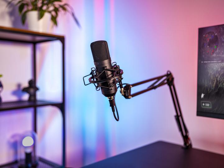 Actual product image Trust GXT 253 Emita Streaming microphone boom