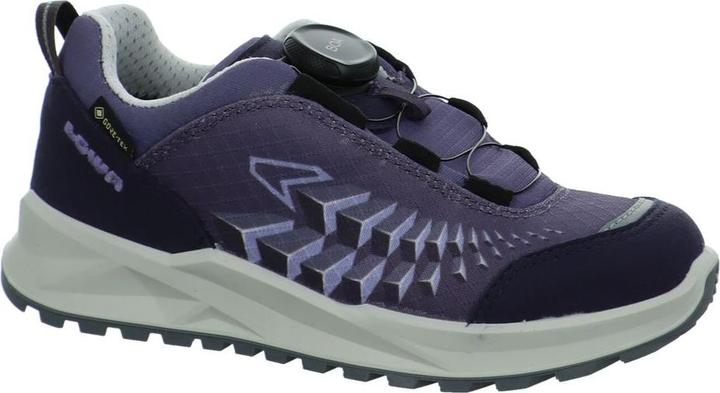 Image du produit Lowa Ferrox GTX LO (25)