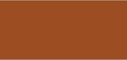 Produktbild Laura Mercier Tinted Moisturizer ( Oil Free Natura l Skin Perfector) 50 ml - Shade: 5N1 Walnut (5N1 Walnut)