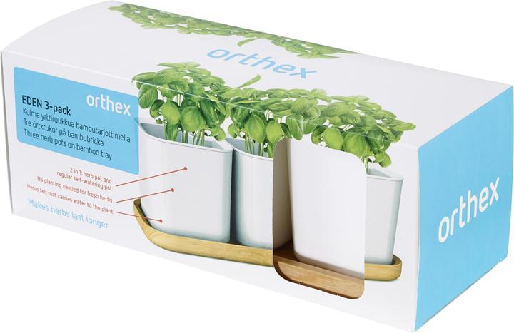 Actual product image Orthex Eden (14 cm)