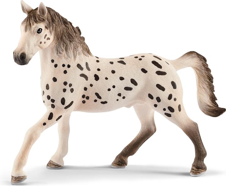 Produktbild Schleich Knabstrupper Hengst