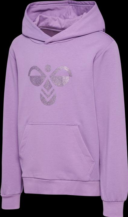 Actual product image hummel hmlCUATRO HOODIE (110)
