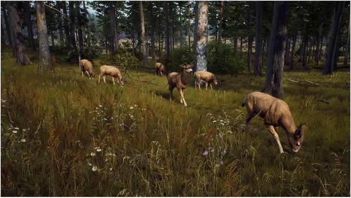 Produktbild THQ Way of the Hunter - Hunting Season One (Xbox Series X, EN)