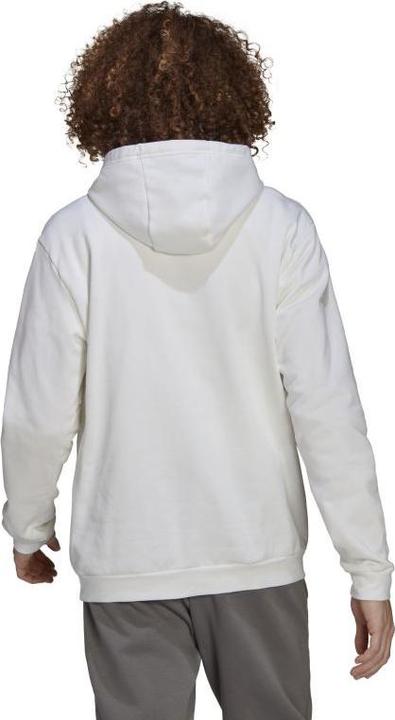 Actual product image adidas Entrada 22 hoodie men (M)