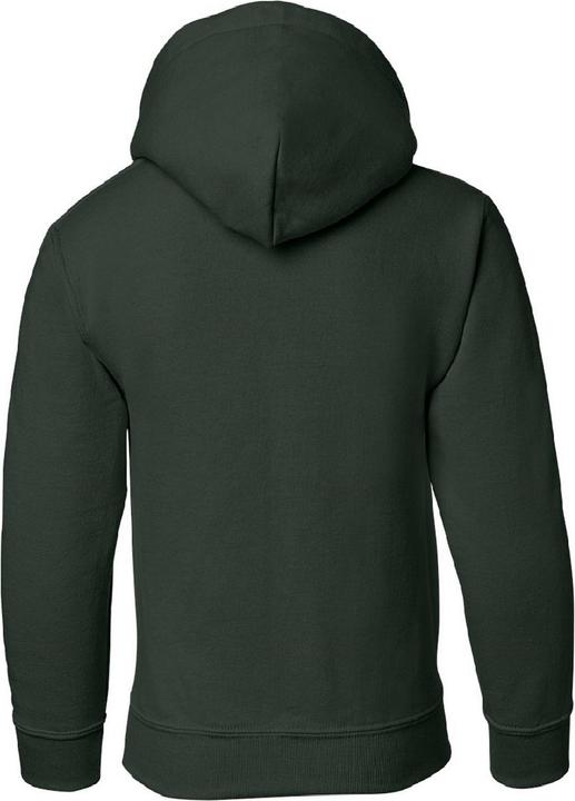 Image du produit Gildan Sweat-shirt avec capuche (XL)