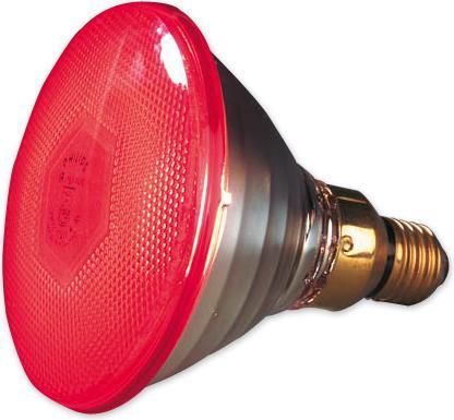 Actual product image Philips Infrared heat lamp (175 W)