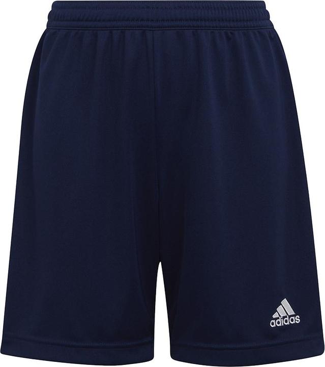 Actual product image adidas Entrada 22 Shorts (164)