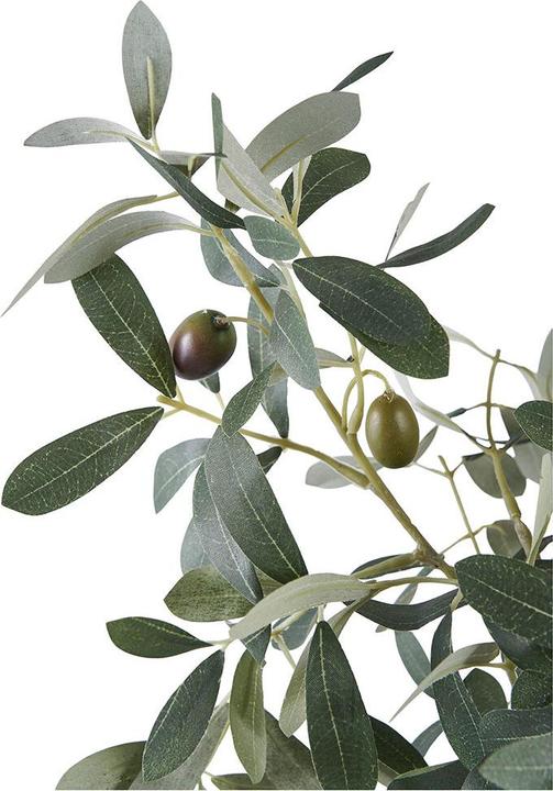 Produktbild House Nordic Olive (61 cm)