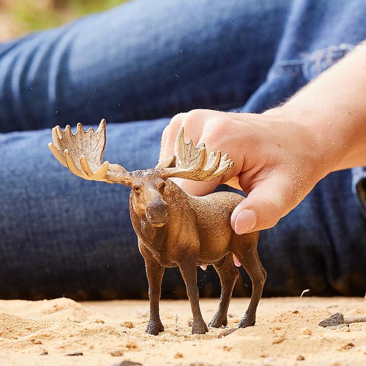 Actual product image Schleich Bull moose