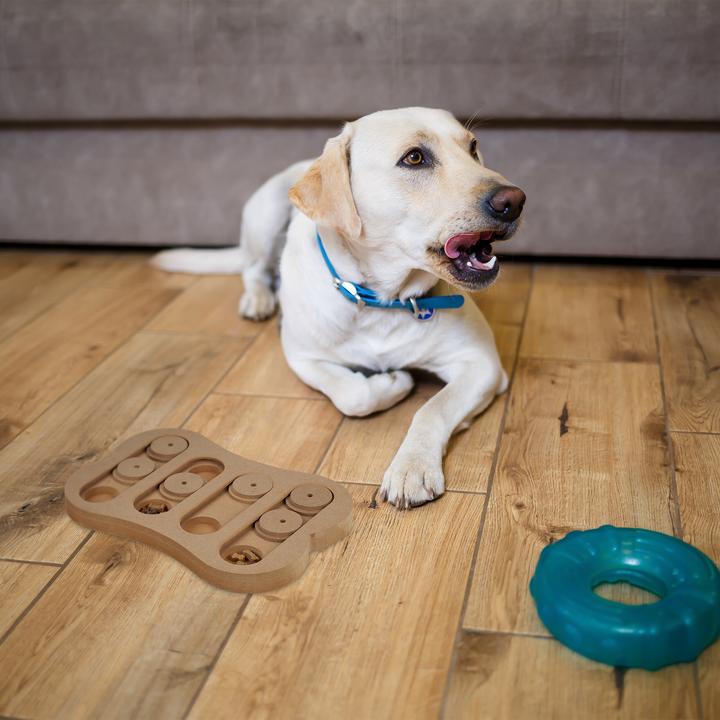 Produktbild Relaxdays Hunde-Intelligenzspielzeug (Intelligenzspielzeug Hund)