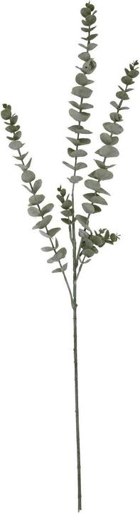 Immagine prodotto Hill Interiors Gunnii Spray all' Eucalipto Fiore Artificiale (90 cm)