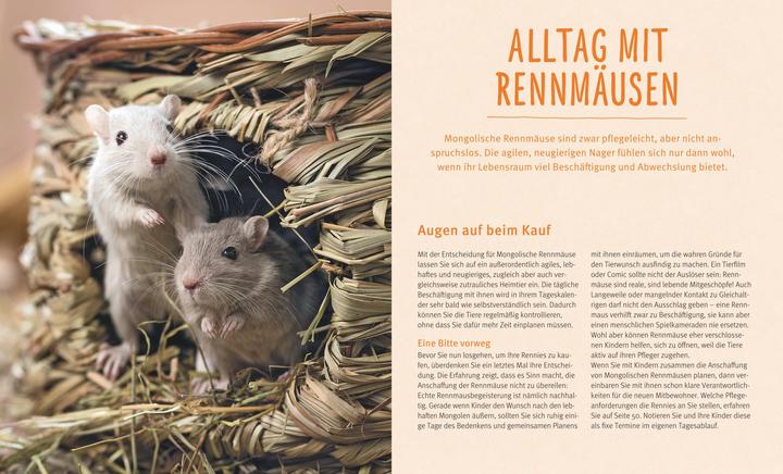 Produktbild Rennmäuse (Deutsch, Engelbert Kötter, 2015)
