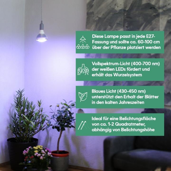 Immagine prodotto Venso Cresce l'inverno leggero (LED, 245 V)